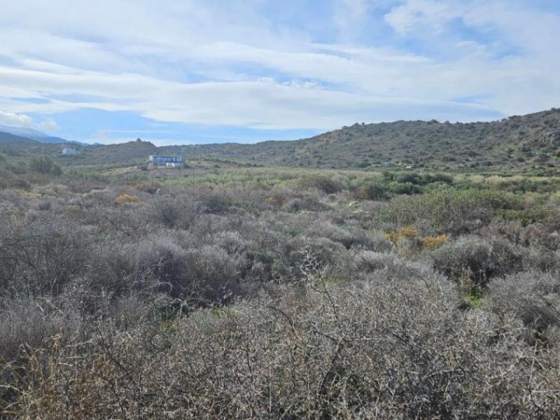 Milatos Kreta, Milatos: Baugrundstück im Zentrum in Meeresnähe zu verkaufen Grundstück kaufen